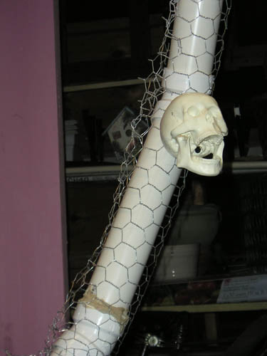 P1010644